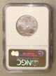 Flawless 2006 1/2 Oz $50 Platinum American Eagle Coin,  Ngc Early Release Ms70 Platinum photo 3