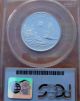 1998 - W $50 1/2oz Pcgs Pr70 Dcam Platinum Proof American Eagle Bullion Coin Platinum photo 3