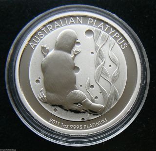 2011 1 Oz Australia Platypus Platinum Coin.  9995 Pure Unc photo