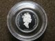 1/10 Oz Peregrine Falcon Platinum 1996 $30 Dollars Capsulated Platinum photo 10