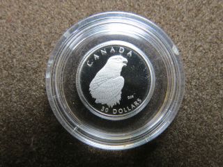 1/10 Oz Peregrine Falcon Platinum 1996 $30 Dollars Capsulated photo
