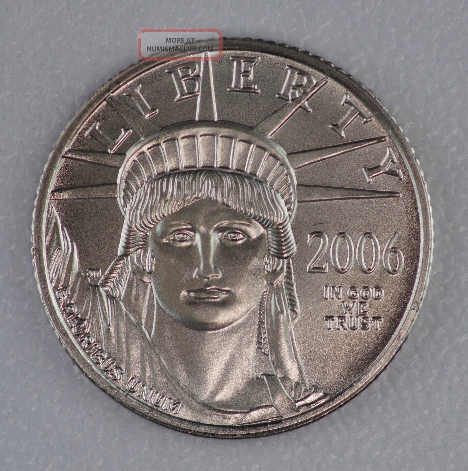 2006 10 American Platinum Eagle 1 10 Oz 9995 Unc Us Coin 6492