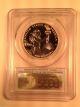 2014 W American Eagle Platinum 1 Oz $100 Statue Of Liberty Pcgs Pr69 Dcam Fs Platinum photo 1