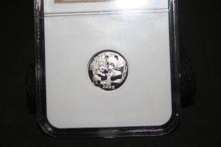 2005 China P100y Panda Pf 69 Ultra Cameo 1/10oz Platinum Coin photo
