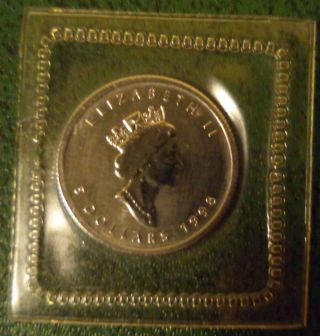 1998 Candian Platinum Maple Leaf 9995 Fine 1/10 Troy Ounce $5 Coin From photo