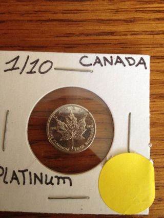 1/10 Oz Canadian Platinum Coin photo