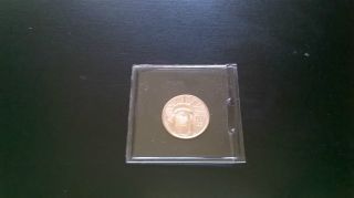 1997 $10 Platinum Eagle 1/10 Oz.  9995 Pure Platinum Bullion U.  S.  Coin Wow photo