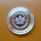 1993 Canada -.  9995 Fine 1/10th Troy Ounce Platinum $5.  00 Maple Leaf Coin Platinum photo 1
