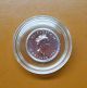 1993 Canada -.  9995 Fine 1/10th Troy Ounce Platinum $5.  00 Maple Leaf Coin Platinum photo 2