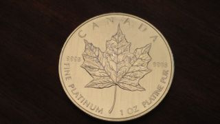 2009 1 Oz Platinum Canadian Maple Leaf Coin - Low Starting Bid photo