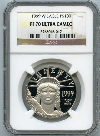 1999 - W $100 (1 Oz. ) Proof 70 Platinum Eagle Ngc Pf 70 Ucam photo