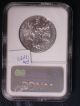 2006 W Platinum Eagle P$100 Early Releases Ngc Ms 70 Low Mintage Of 3,  068 Platinum photo 1