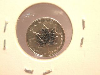 1999 $1 Canadian Platinum Maple.  9995 Platinum 1/20th Oz photo