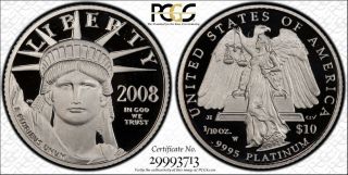 2008 - W $10 Platinum Eagle Pcgs Pr70 Dcam (pcgs Values This At $700) photo