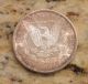 Rare Au 1880 S Morgan Silver Dollar Coin Us Great Details Toner Mirrors Dollars photo 4