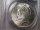 Bu Ms 1926 Silver Us Peace Dollar.  Pcgs Ms63.  Luster.  Better Date. Dollars photo 3