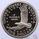 2002 S Native American Sacagawea Dollar Gem Deep Cameo Proof Us Coin Dollars photo 6
