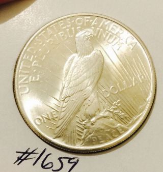 1925 - P Peace Silver Dollar/ Bu - Gem/ Unc/ Ms,  / Blast White Gem 1659 photo