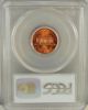 1998 Lincoln Cent Pcgs Ms67rd Small Cents photo 1