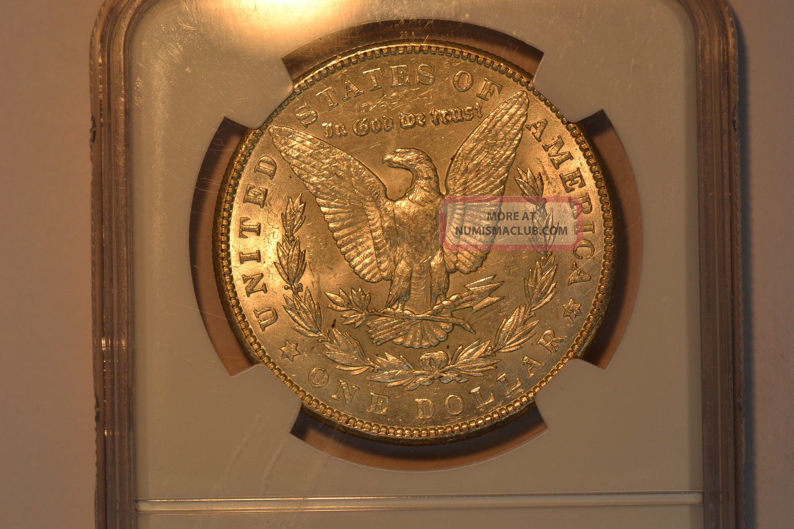 1900 Dollar Ngc Unc Details. Top 100 Variety. Vam 24