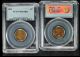 1899 Indian Cent Pcgs Ms64 Rb Small Cents photo 1