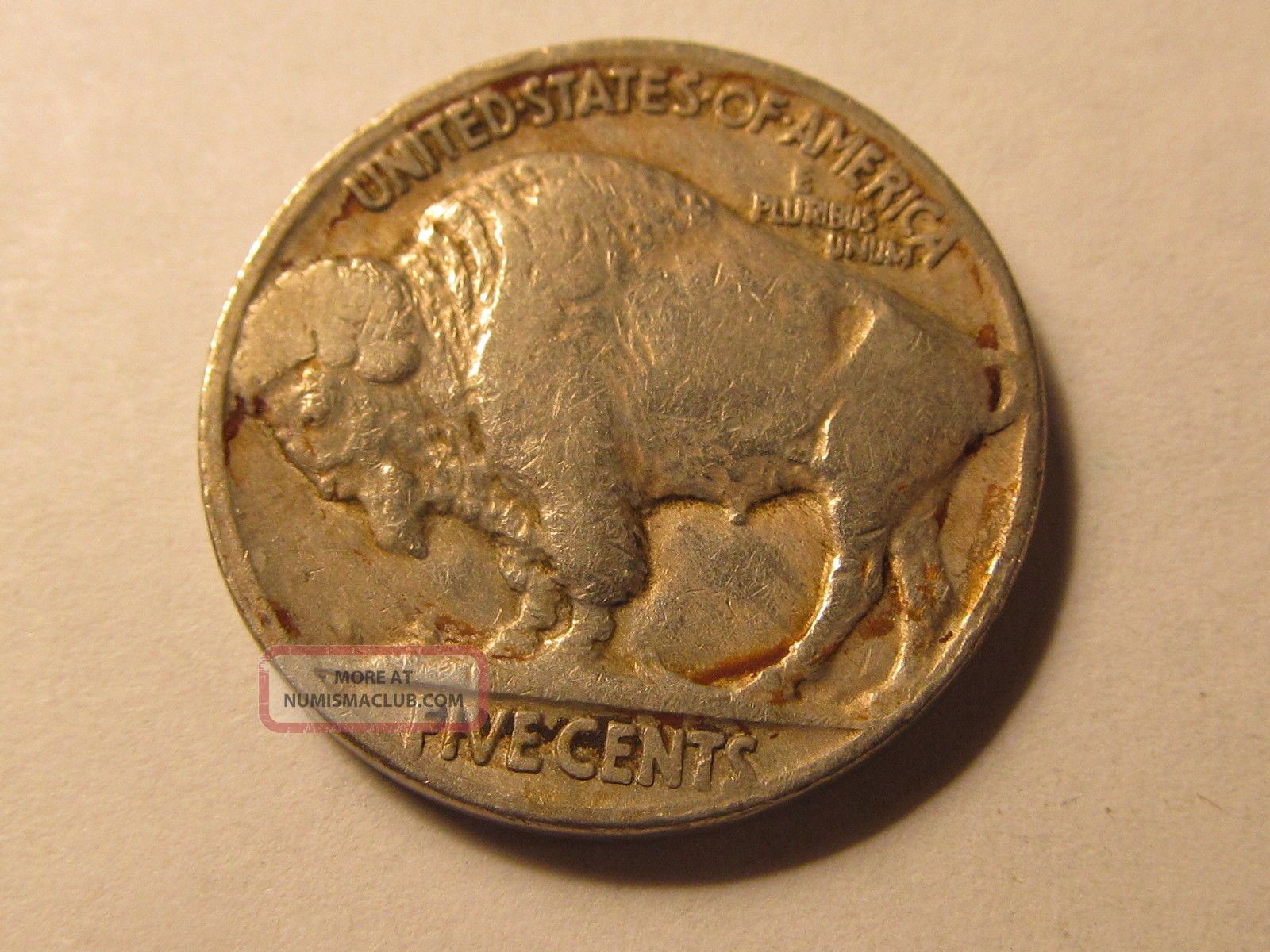 1918 p buffalo nickel in f fine gra h paper