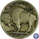 1918 P Buffalo Indian Nickel Rare Usa Coin Addnl Items Ship 800 Nickels photo 1