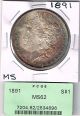 1891 Morgan Silver Dollar - Ms,  Rainbow Toned - You Grade It - Dollars photo 2