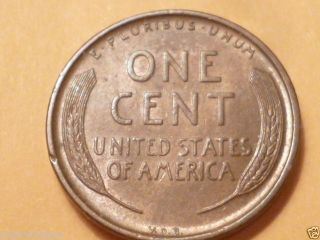 1909 Vdb,  Wheat A.  U.  55 Cent From Grampas.  Estate - Semi Key Coin photo