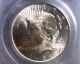 1924 Peace Silver Dollar Graded Pcgs Ogh Ms64 Old Green Holder Dollars photo 2