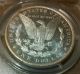 1886 Morgan Dollar - Ms - 63 Dmpl Deep Mirror Proof Like Pcgs Coins: US photo 3