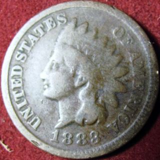 1883 Indian Head Penny photo