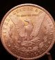 Vam 2 1886 - S/s $1 Morgan Silver Dollar Top 100, Coins: US photo 5