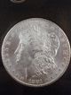 1881 - Cc Morgan Silver Dollar In Gsa Holder W/ Box And Dollars photo 1