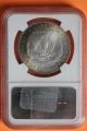 1884 - P Ms64 Morgan Silver Dollar Ngc Graded & Certified Slabbed Coin 082 Dollars photo 1