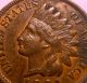 1901 Indian Cent Sharp Small Cents photo 1