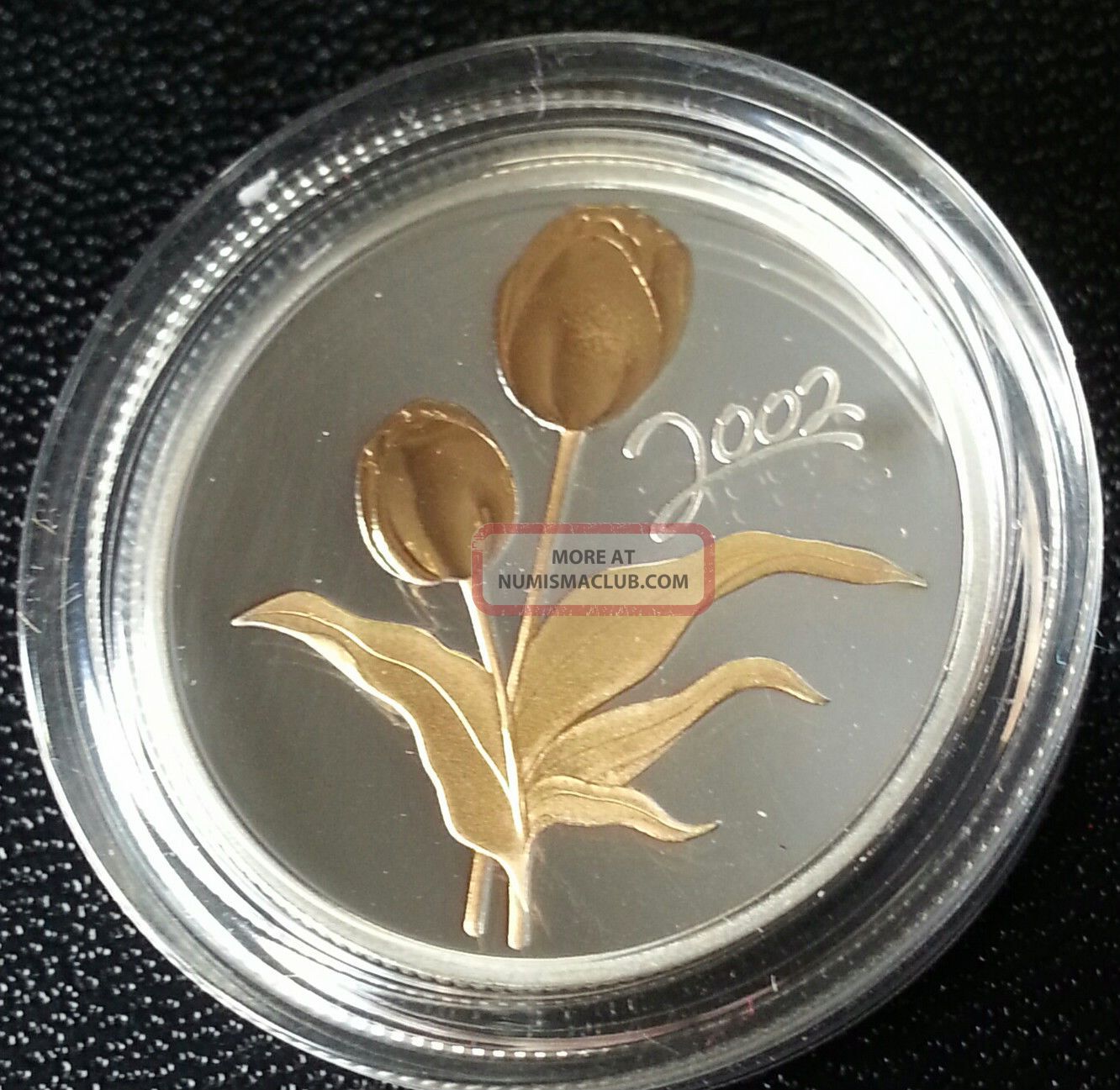 2002 50 Cent Canada Silver Coin - Golden Tulip With Case & Coins: Canada photo