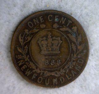 Newfoundland Large Cent 1888 (stock 0574) photo