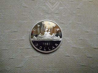 Gem 1981 Frosted Proof Nickel Dollar photo