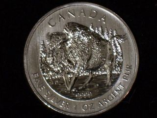 2013 1 Oz Silver Canadian Wood Bison - Wildlife Series - photo