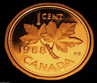 Canada 1 Cent Maple Leaf 1988 Proof Deep Cameo Collector Coin,  Combine photo