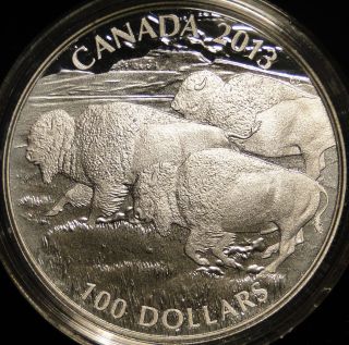 Canada 2013 $100 Bison Stampede.  9999 1 Oz Silver Coin Wildlife In Motion Series photo