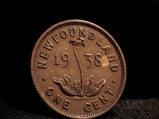 1938 Newfoundland Small One Cent Coin.  Pre - Confederation Canada photo