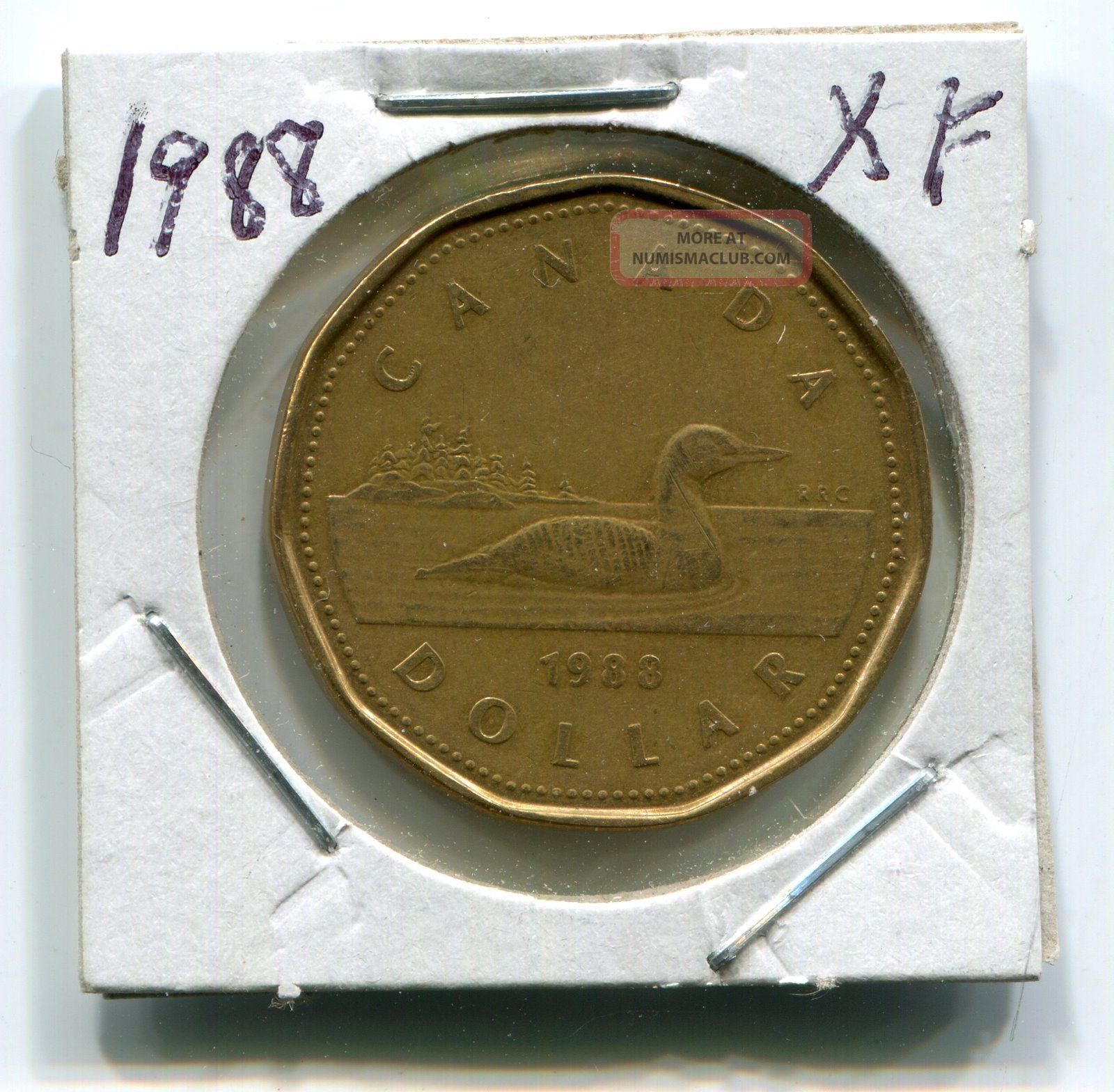 1988 Canada Loon Dollar Extra Fine Circulated 1988-canada-loon-dollar-extra-fine-circulated