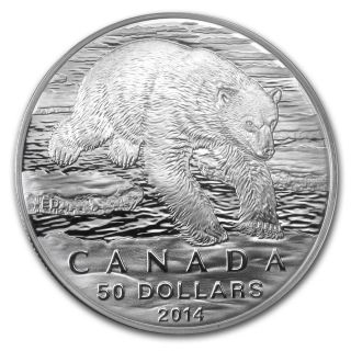 2014 $50 Canada Wildlife Conservation Polar Bear 1/2 Oz.  9999 Silver Coin photo