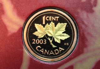 2003 Royal Canadian Annual Report Gold Plated Penny Hand Numbered Scarce photo
