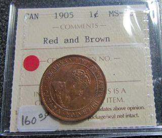 Canada 1905 Large Cent Edward Vii Graded Iccs Ms 63 Red & Brown Unc photo