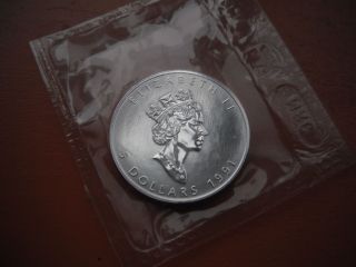 1991 $5 Dollar Canada.  999 Fine Silver Maple Leaf 1oz Bullion Coin - photo