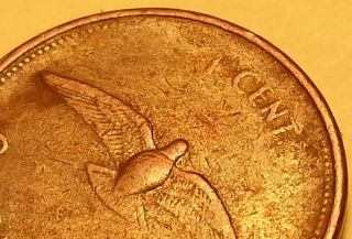 1867 - 1967 Dove Missing/faded Beads On Rim Queen Elizabeth Ii Penny S15 photo