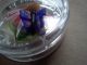 2013 $20 Purple Coneflower With Venetian Glass Butterfly 1 Oz Silver Coin Coins: Canada photo 1